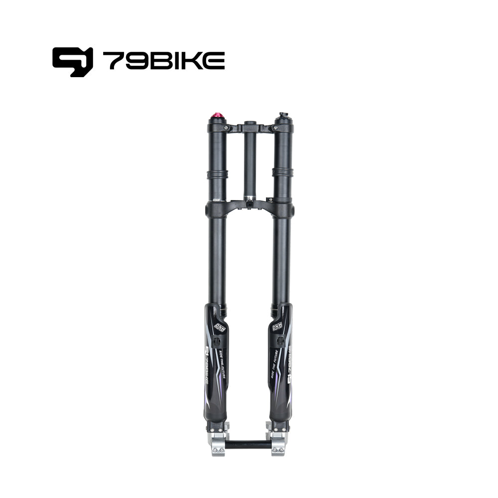 DNM - Front fork -1 | 79BIKE Electric Off-road Motorcycle Accessories