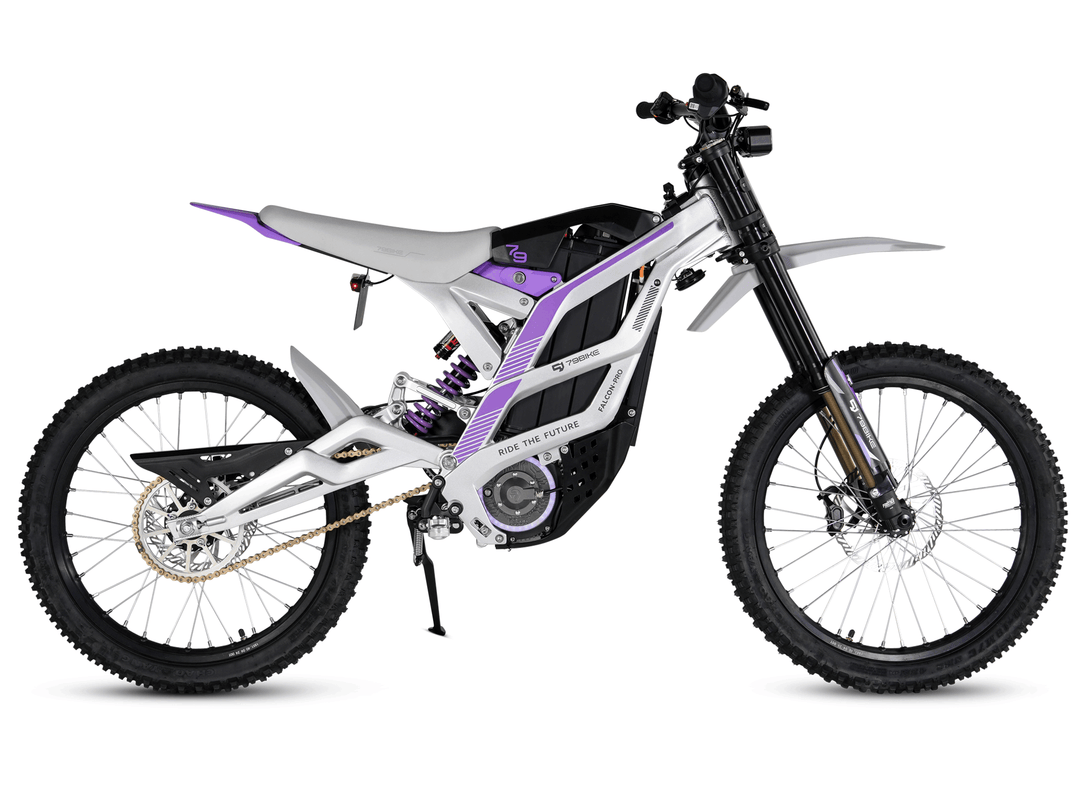 Right view-1 | 79BIKE Falcon-pro (Silver+purple) | Electric Off-road Motorcycle