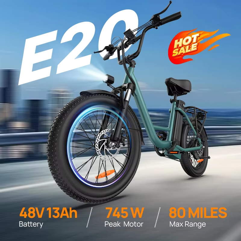 LI URLIFE E20 ,20-inch Fat Tire city ebike,adult E-bike 250W 48V 13Ah battery commute Electric Bike